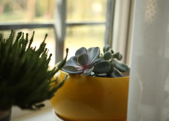 Cozy Kaivas, Free Parking, Self Check-in Апартаменты *