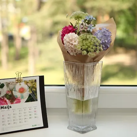 Apartmán Cozy Kaivas, Free Parking, Self Check-in